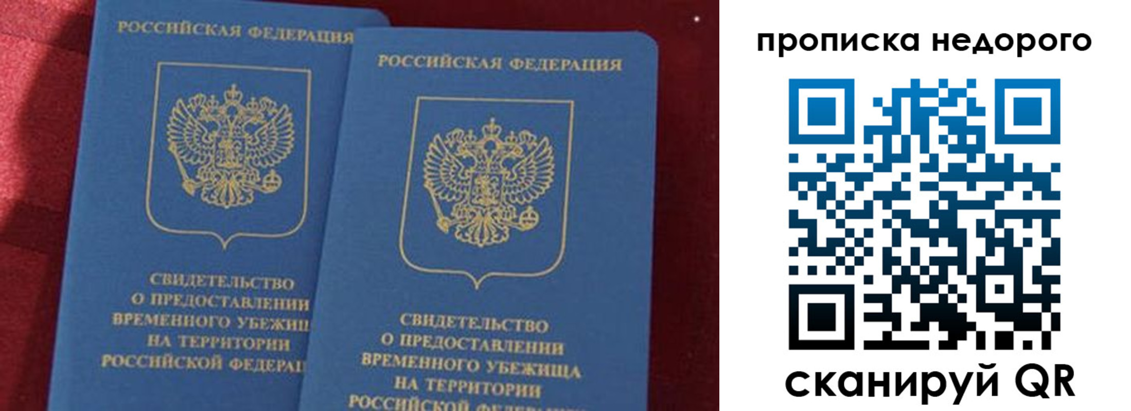 прописка гарантия в Фрязино